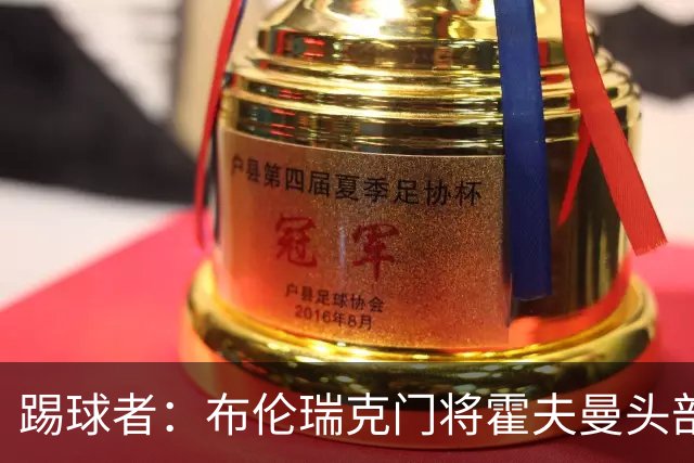 踢球者：布伦瑞克门将霍夫曼头部受伤无大碍，可出战比勒费尔德